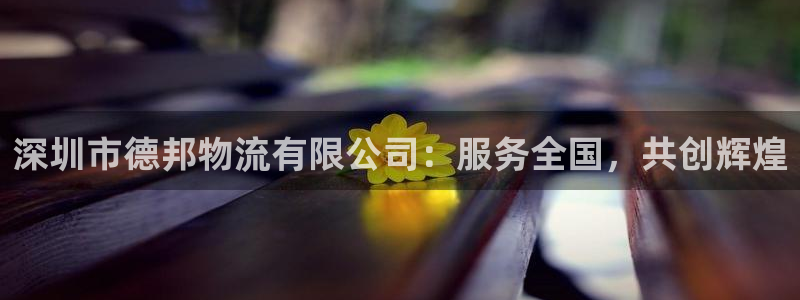 狗子28如何看012路计划：深圳市德