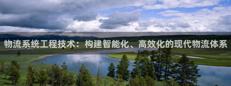 狗子28能赢钱吗：物流系统工程技术：