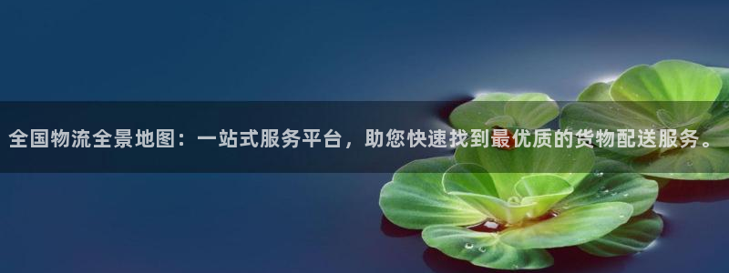 狗子28app能退款吗：全国物流全景