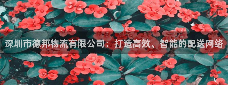 狗子28怎么下载：深圳市德邦物流有限