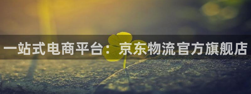 狗子28充值：一站式电商平台：京东物