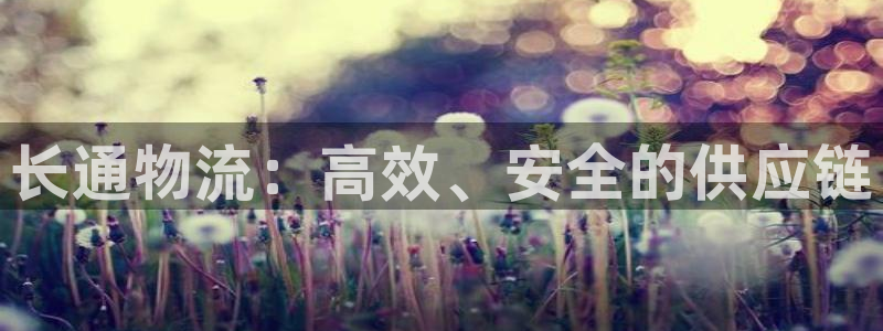 狗子28加拿大最新版：长通物流：高效