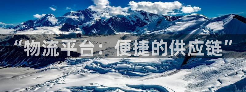 狗子28黑平台吗：“物流平台：便捷的