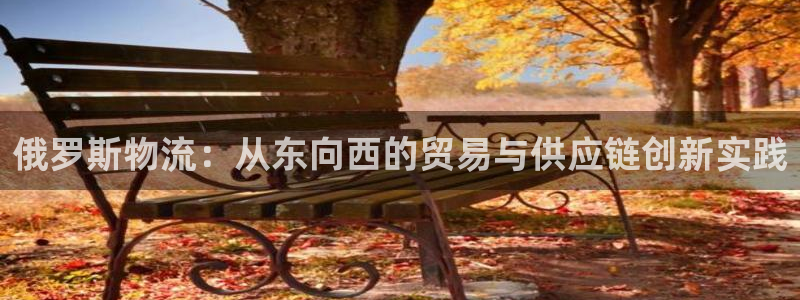 狗子28最稳打法：俄罗斯物流：从东向