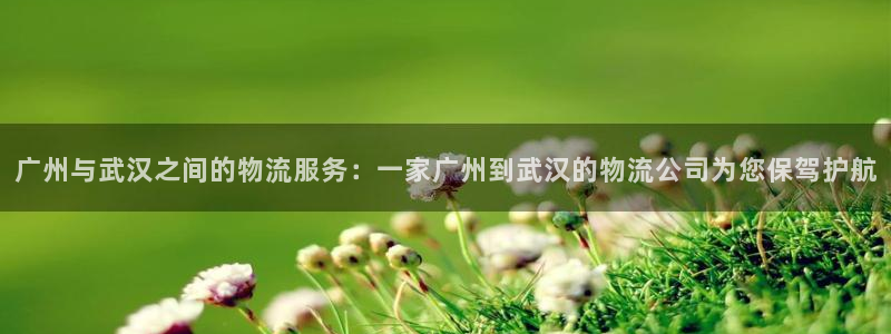 狗子28女王中奖记录查询：广州与武汉