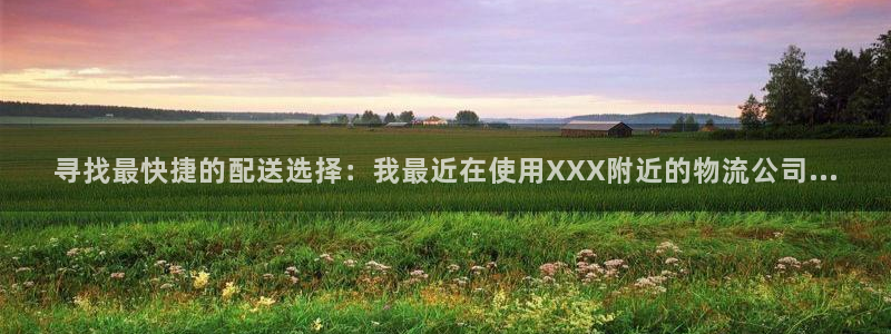 狗子28官网入口app：寻找最快捷的
