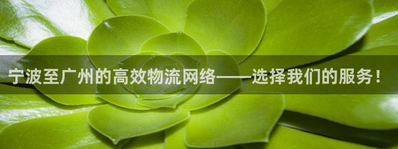 狗子28模拟器：宁波至广州的高效物流