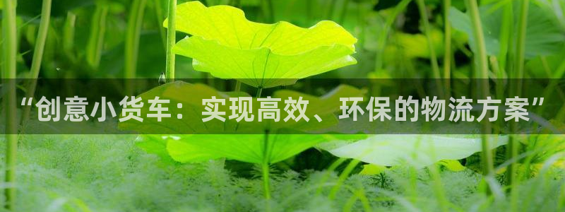狗子28辅助：“创意小货车：实现高效