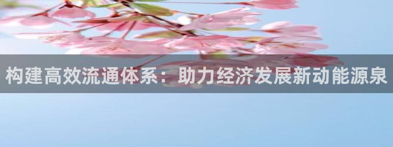 狗子28赌博软件正规吗：构建高效流通体系：助力经济发展新动能