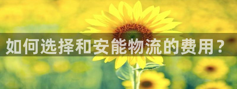 狗子28注册账号：如何选择和安能物流