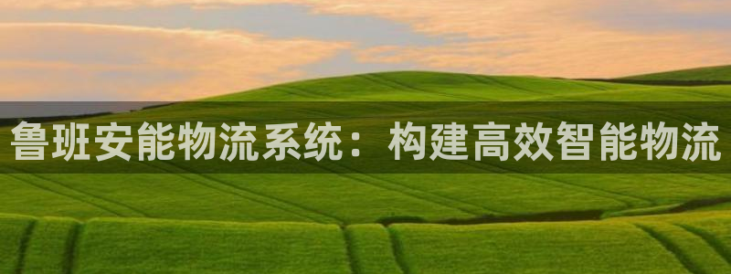 狗子28链接多少：鲁班安能物流系统：