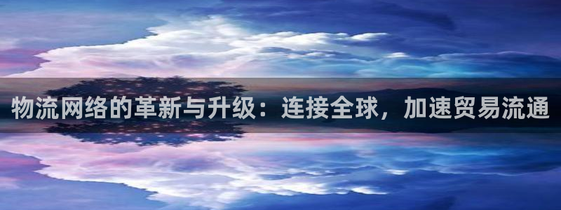 狗子28人头费：物流网络的革新与升级