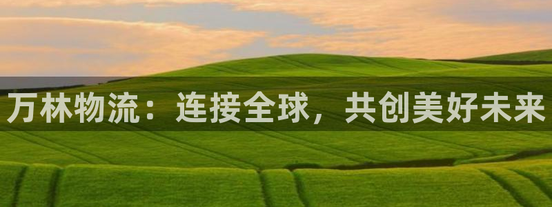 狗子28退款：万林物流：连接全球，共