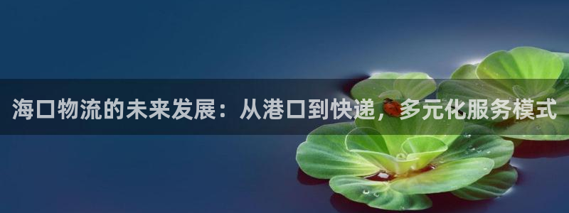 狗子28pg麻将胡了：海口物流的未来发展：从港口到快递，多元
