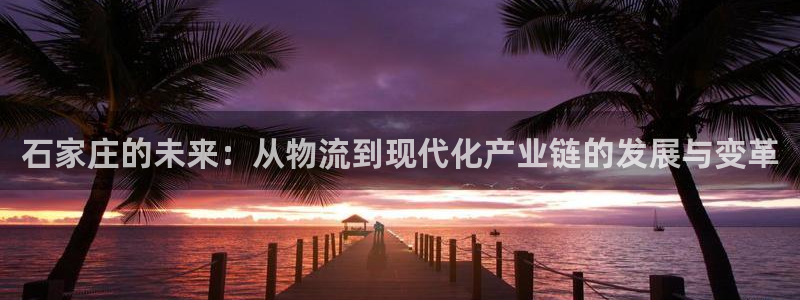 狗子28注册：石家庄的未来：从物流到现代化产业链的发展与变革