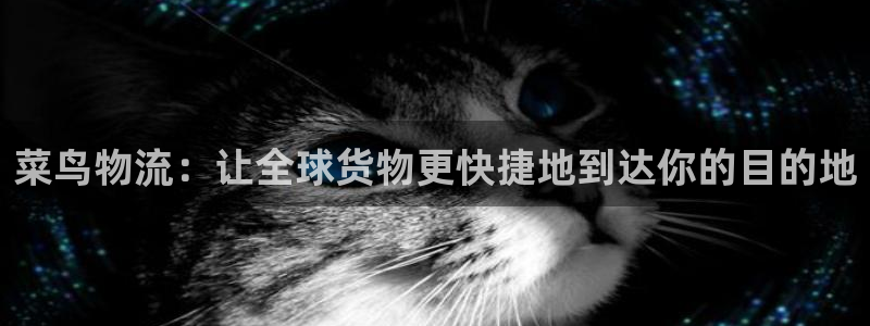 狗子28违法吗：菜鸟物流：让全球货物