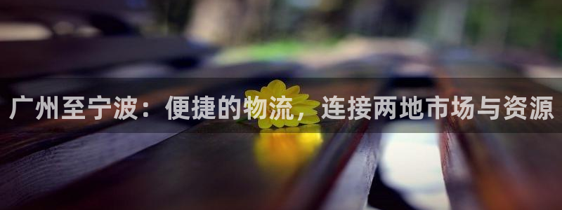 狗子28头像：广州至宁波：便捷的物流