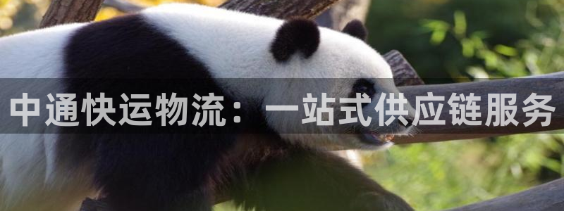 狗子28是什么是赌博吗?：中通快运物