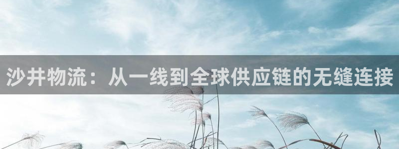 狗子28登录不上咋回事：沙井物流：从