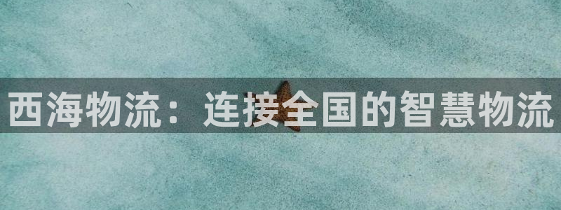 狗子28链接是什么：西海物流：连接全