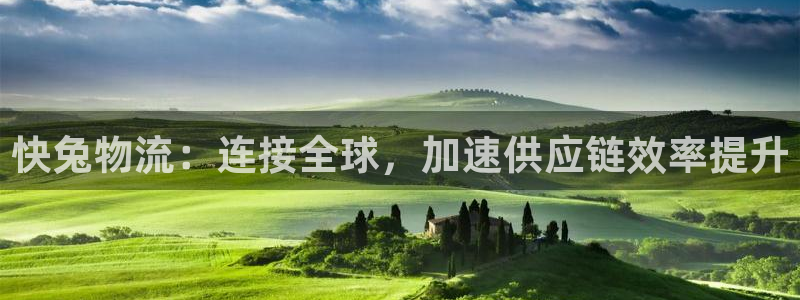 狗子28pg麻将胡了2老是空转：快兔