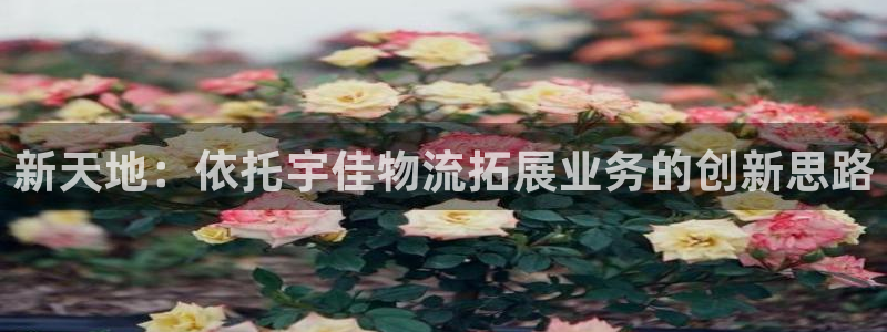 狗子28注册问一问：新天地：依托宇佳