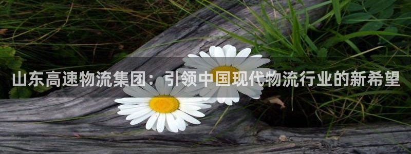 狗子28忘记账号：山东高速物流集团：