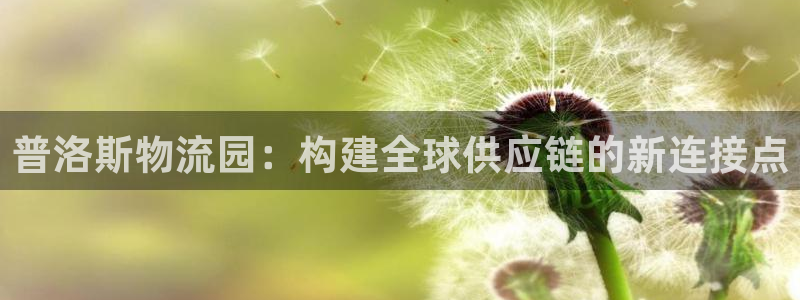 狗子28官网开奖结果预测：普洛斯物流