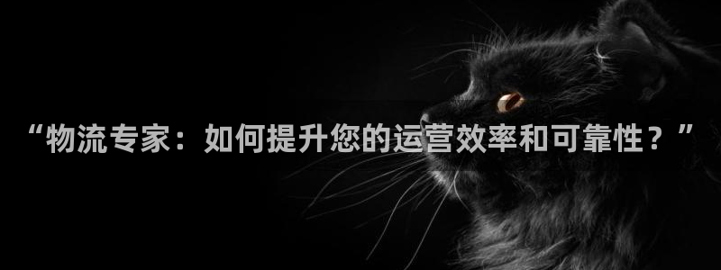 狗子28官网下载多少钱一个：“物流专家：如何提升您的运营效率