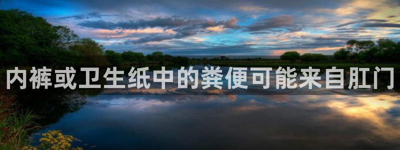 狗子28忘记账号：内裤或卫生纸中的粪