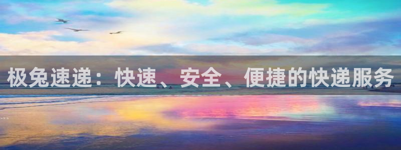 自行车狗子28是什么意思:极兔速递: