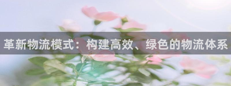 狗子28是干嘛的:革新物流模式:构建