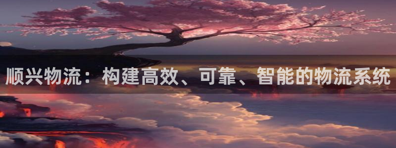 pc狗子28怎么注册：顺兴物流：构建