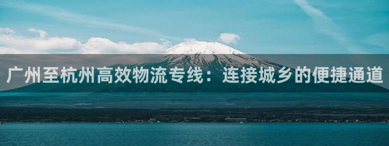 狗子28链接是什么:广州至杭州高效物